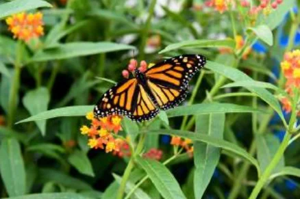 Day Two Image Placeholder