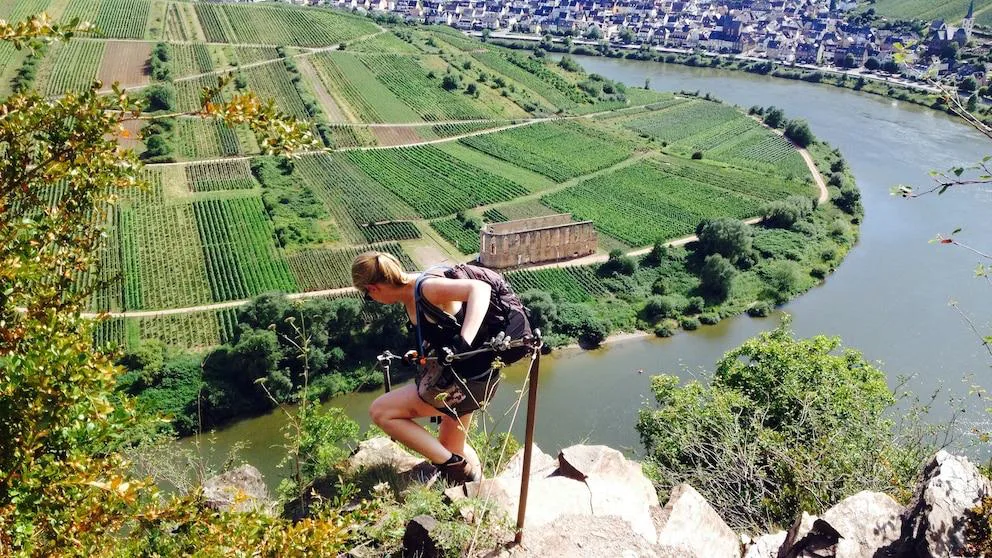 Steep vineyards along the Calmont Klettersteig above the Moselle Valley