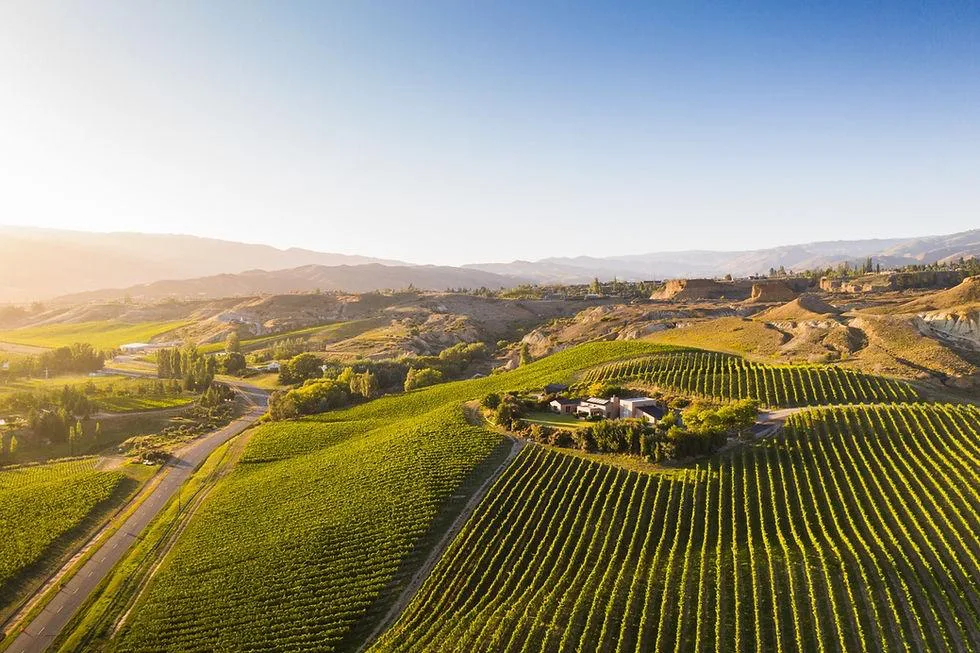 Central Otago landscape in New Zealand