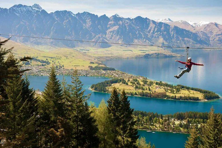 Ziptrek Ecotours zipline through native New Zealand forest