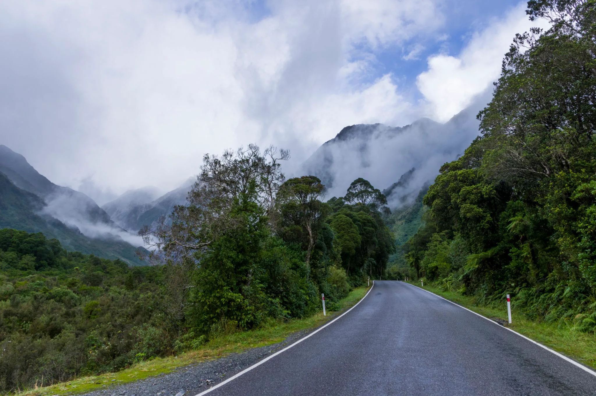 Rugged West Coast scenery on New Zealand's South Island
